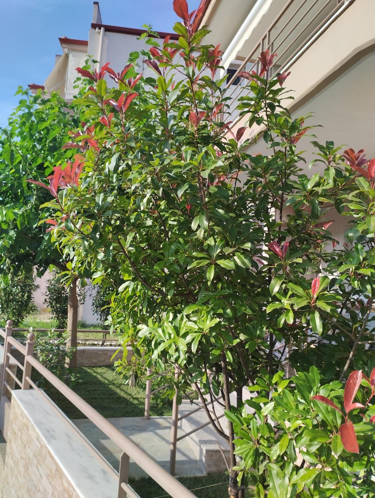 Avellana Luxury Suites Leptokarya (Pieria) Exterior foto